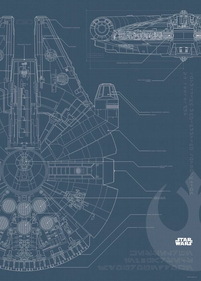 Komar Bild "Star Wars Blueprint Falcon" Star Wars 1 Stk. tlg. Wandbild zur Dekoration im Kinderzimmer - ohne Rahmen von Komar