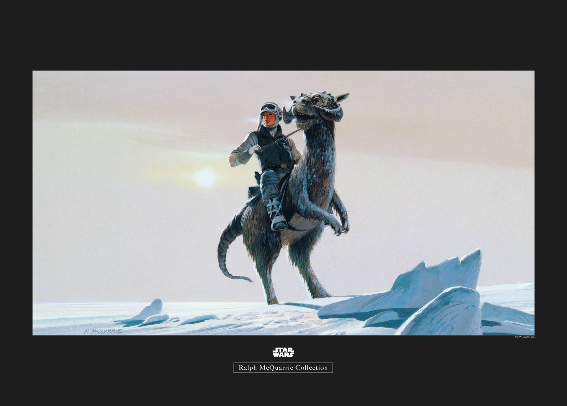 Komar Bild "Star Wars Classic RMQ Hoth Tauntaun" Star Wars 1 Stk. tlg. Wandbild zur Dekoration im Kinderzimmer - ohne Rahmen von Komar