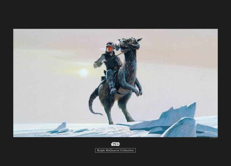 Komar Bild "Star Wars Classic RMQ Hoth Tauntaun" Star Wars 1 Stk. tlg. Wandbild zur Dekoration im Kinderzimmer - ohne Rahmen von Komar