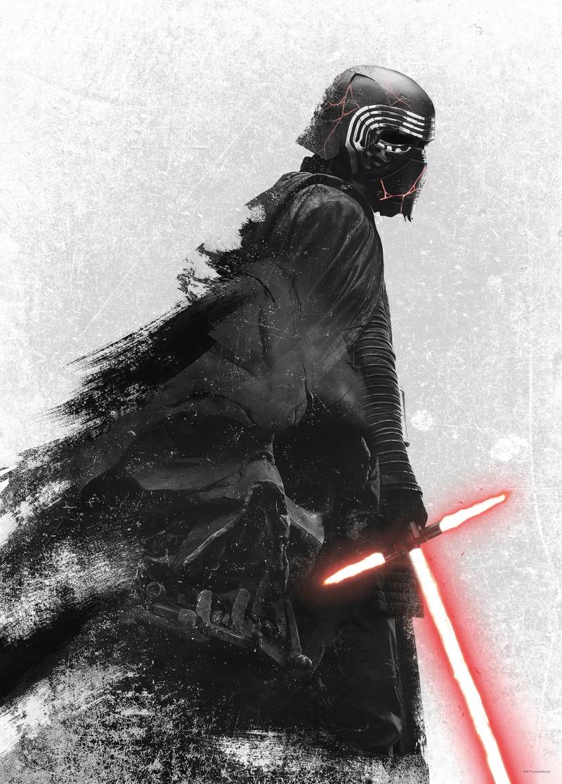 Komar Bild "Star Wars EP9 Kylo Vader Shadow" Star Wars 1 Stk. tlg. Wandbild zur Dekoration im Kinderzimmer - ohne Rahmen von Komar