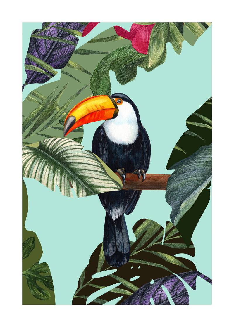 Komar Bild "Toco Toucan" Natur 1 Stk. tlg. Wandbild zur Dekoration - ohne Rahmen von Komar