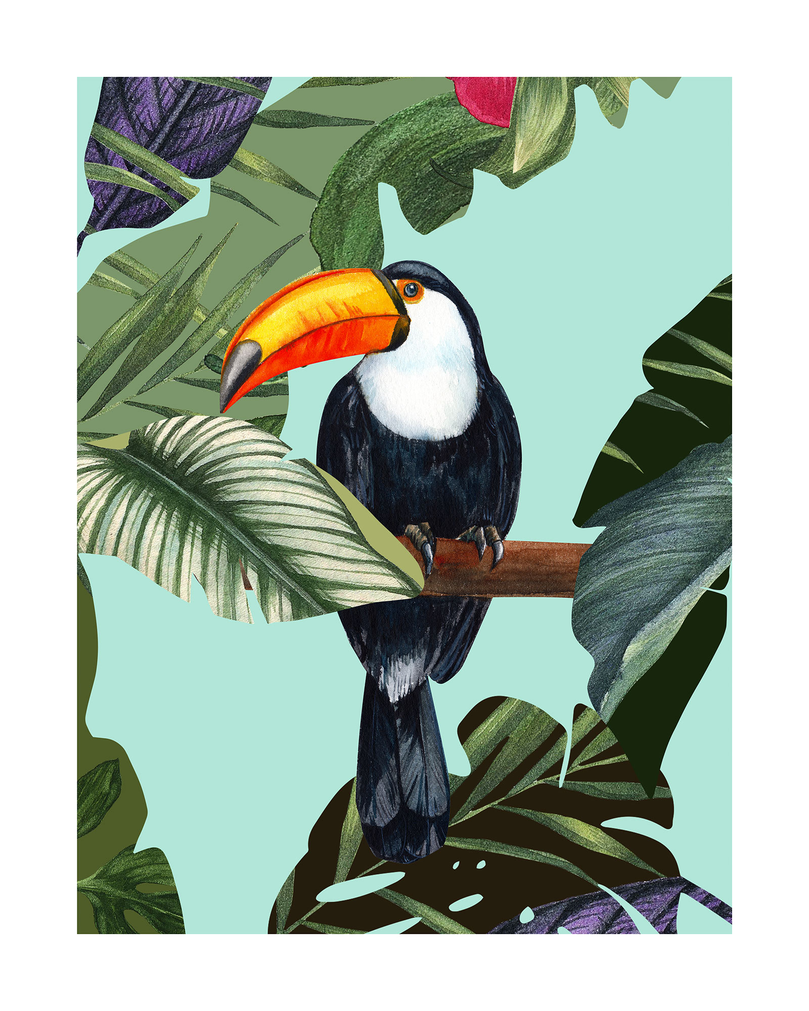 Komar Bild "Toco Toucan" Natur 1 Stk. tlg. Wandbild zur Dekoration - ohne Rahmen von Komar