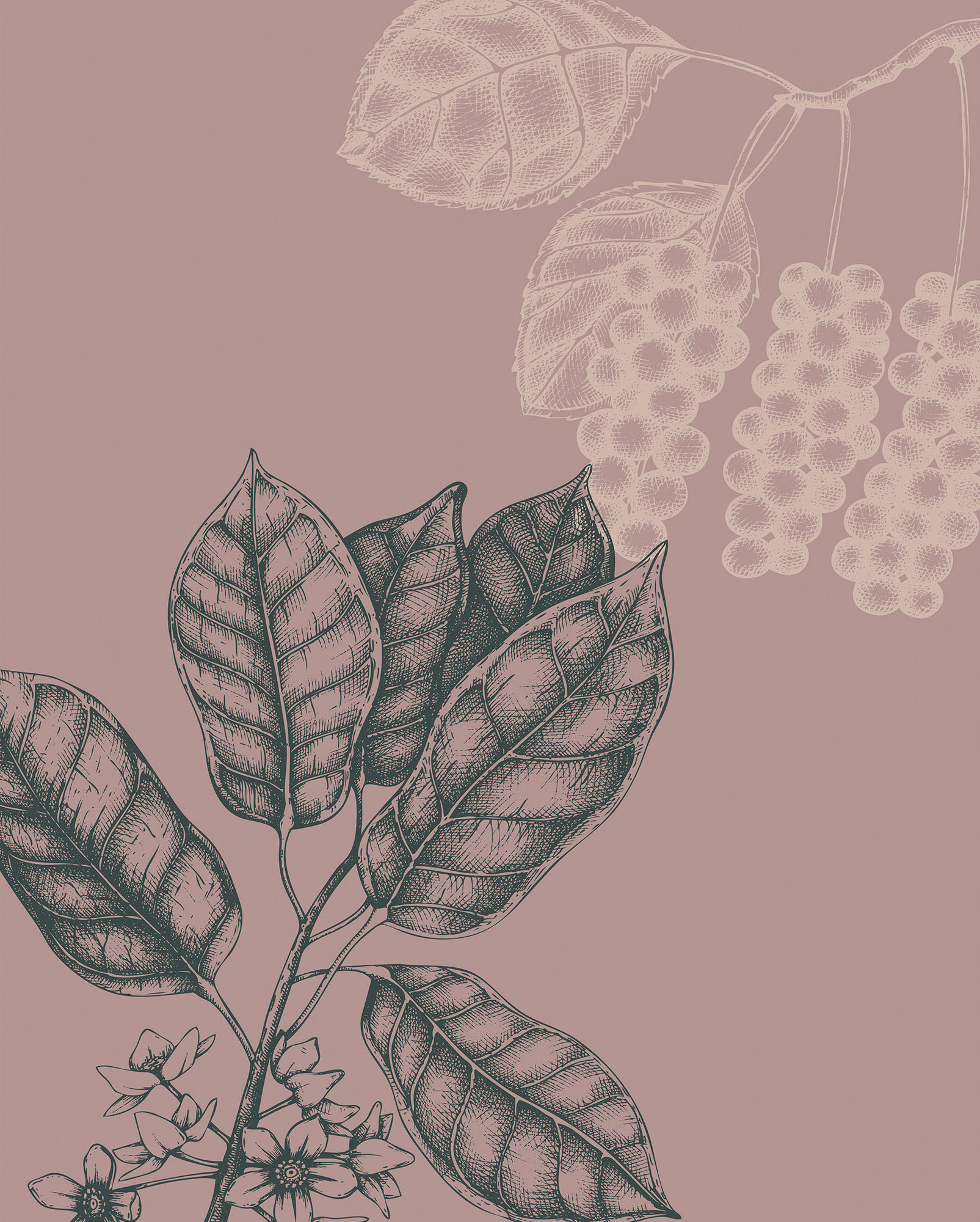 Komar Bild "Wild Berry" Natur 1 Stk. tlg. Wandbild zur Dekoration - ohne Rahmen von Komar