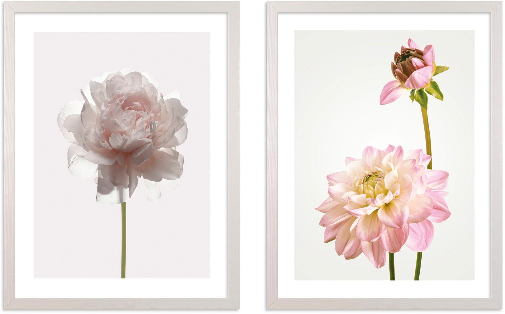 Komar Bild mit Rahmen "Floral Delights", (2 St.) von Komar