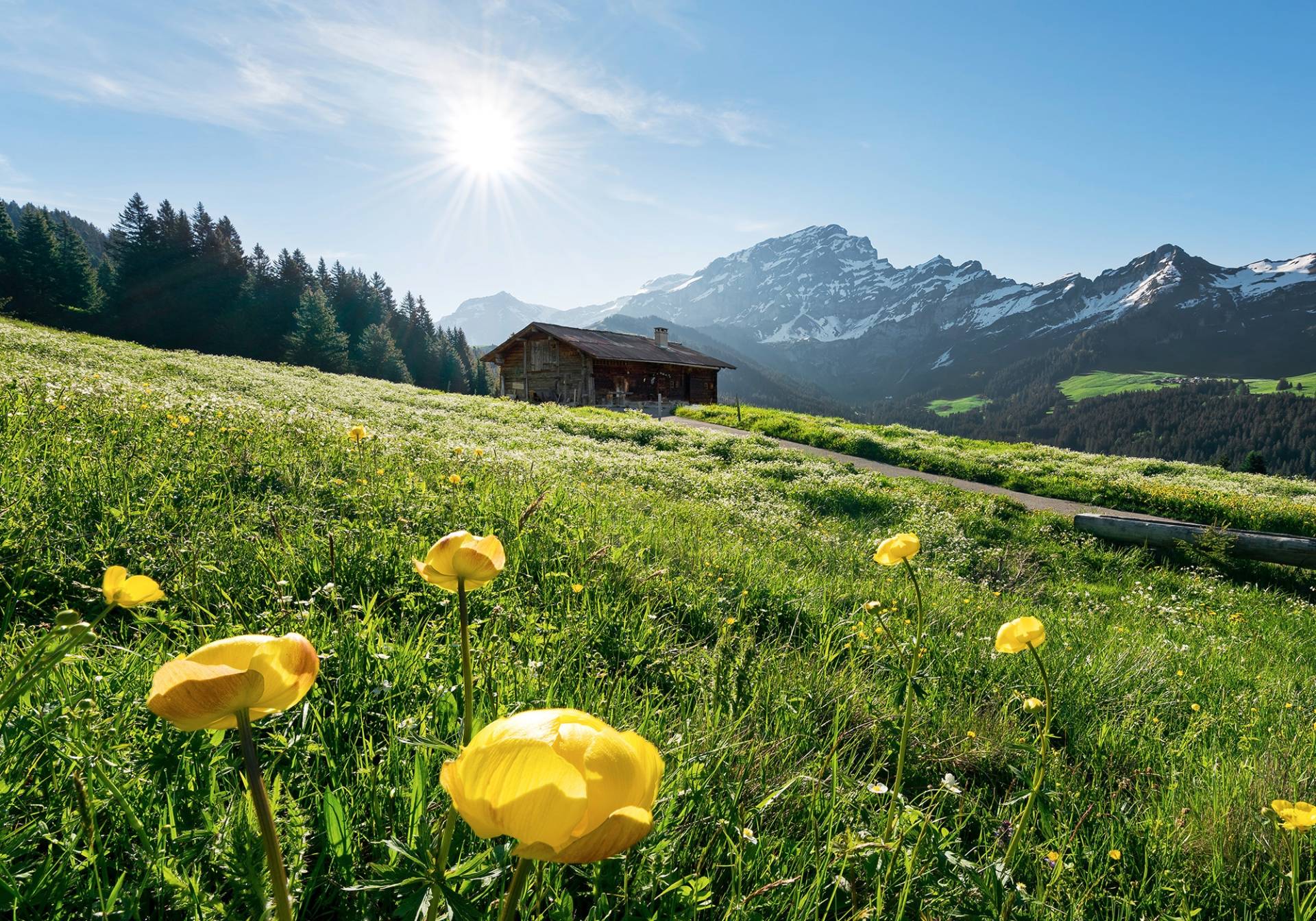 Komar Vliestapete "Alpenglück" von Komar