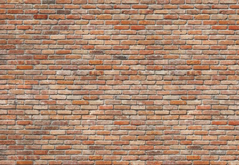Komar Fototapete "Backstein - Größe 368 x 254 cm" bedruckt glatt Wohnzimmer, Schlafzimmer von Komar