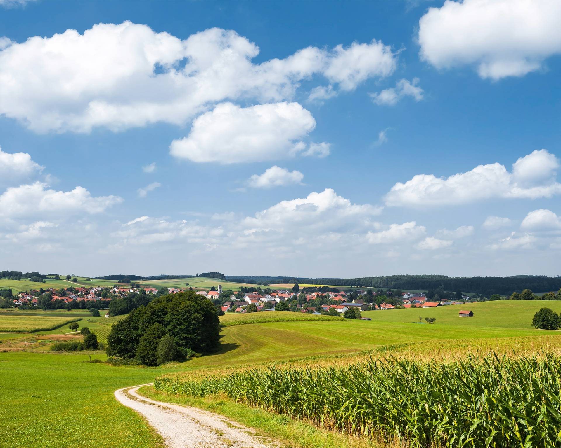 Komar Vliestapete "Bayrische Idylle" von Komar