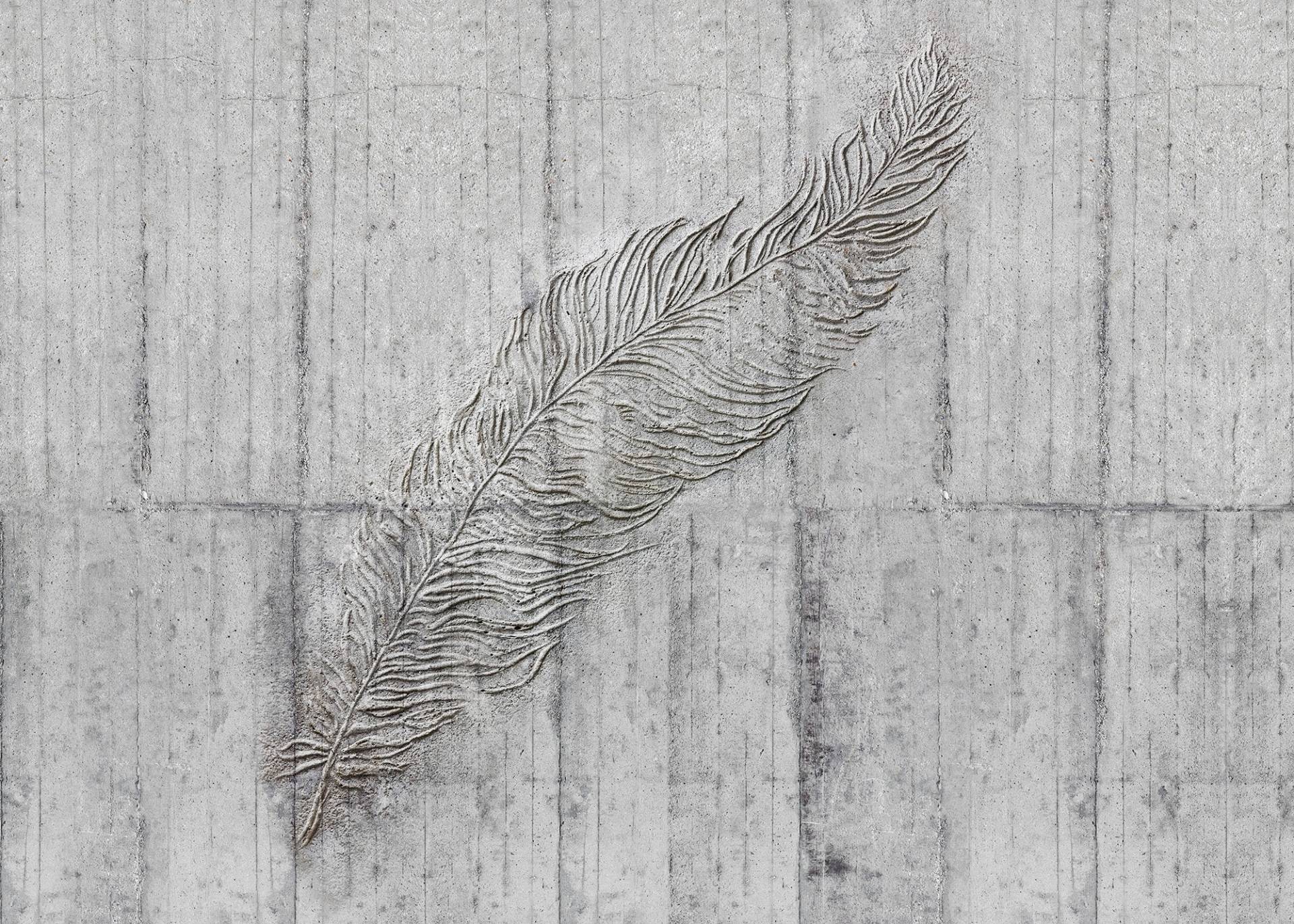 Komar Vliestapete "Concrete Feather" von Komar