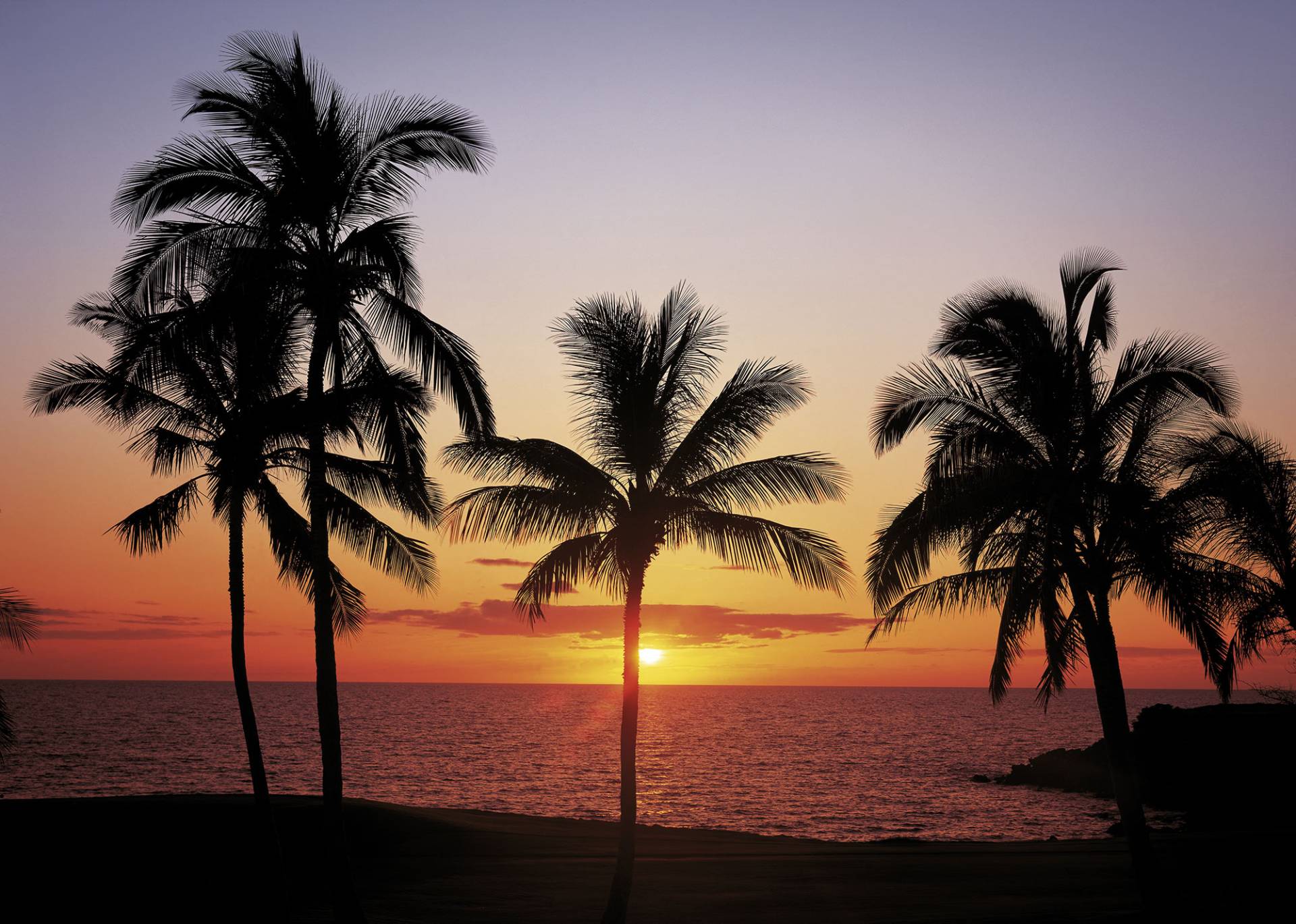Komar Fototapete "Hawaii" von Komar