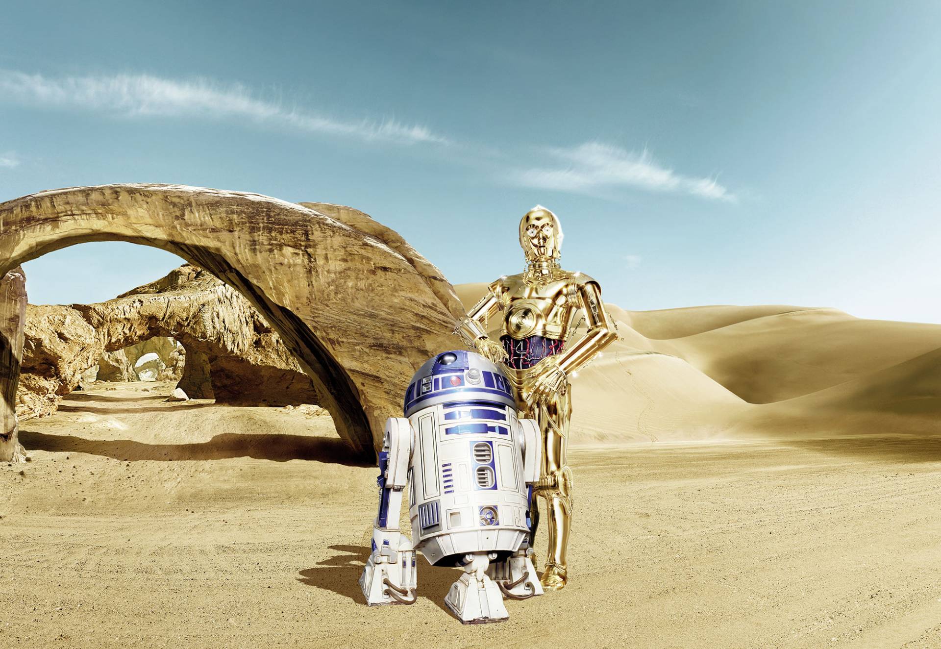 Komar Fototapete "STAR WARS Lost Droids" von Komar