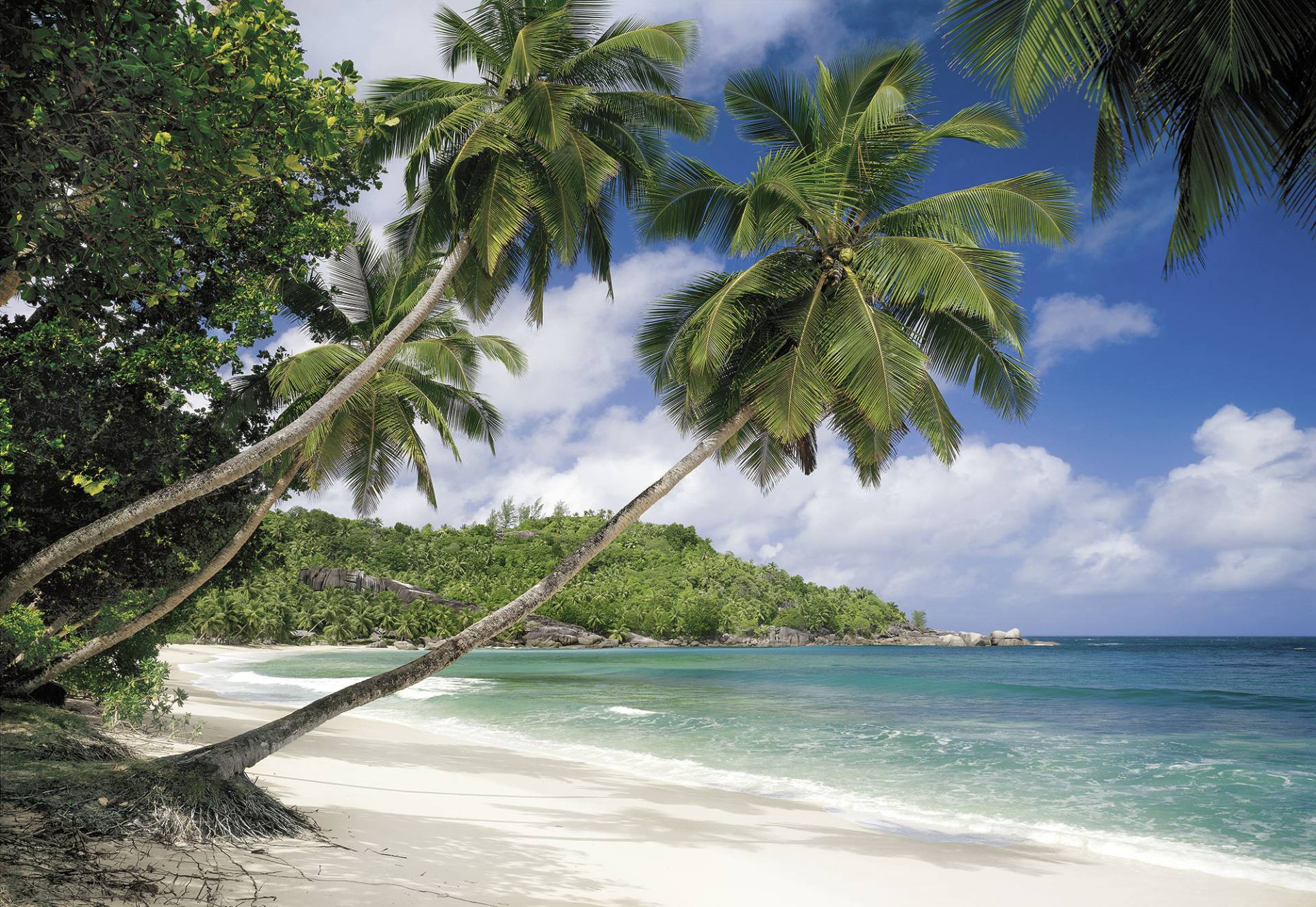 Komar Fototapete "Seychellen" von Komar
