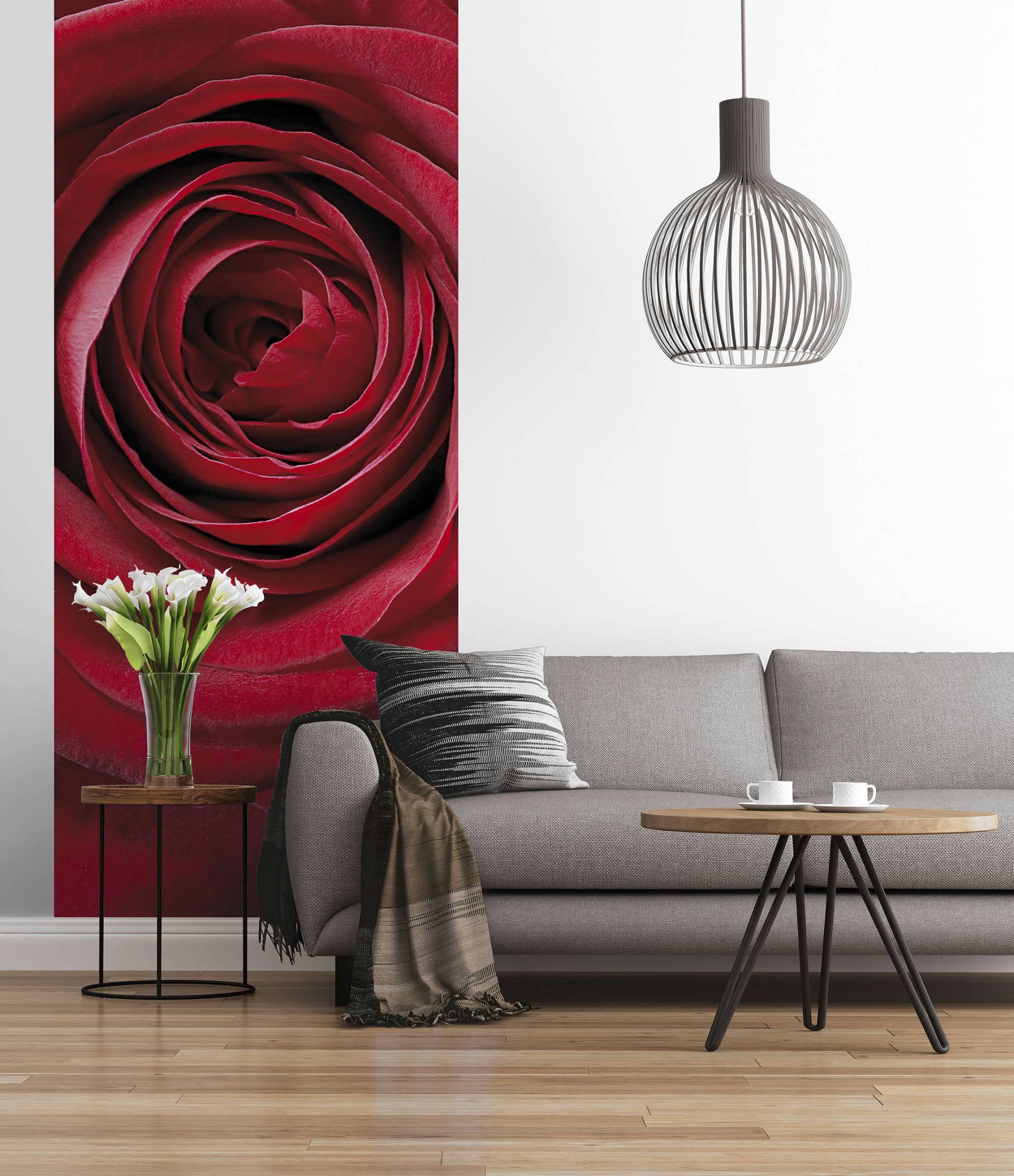 Komar Fototapete "Fototapete - Red Rose - Größe 97 x 220 cm", bedruckt von Komar