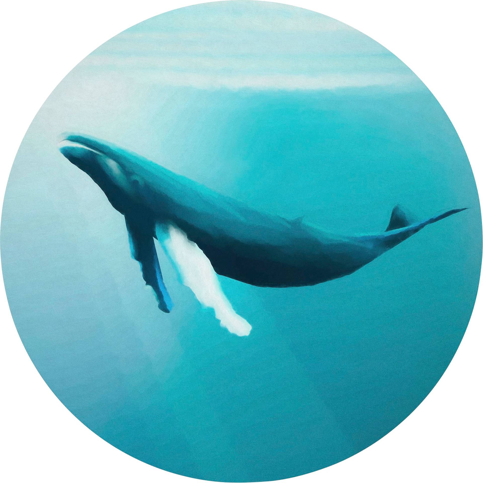 Komar Fototapete "Whale Watching" von Komar