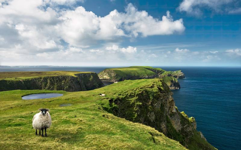 Komar Vliestapete "Green Ireland" von Komar