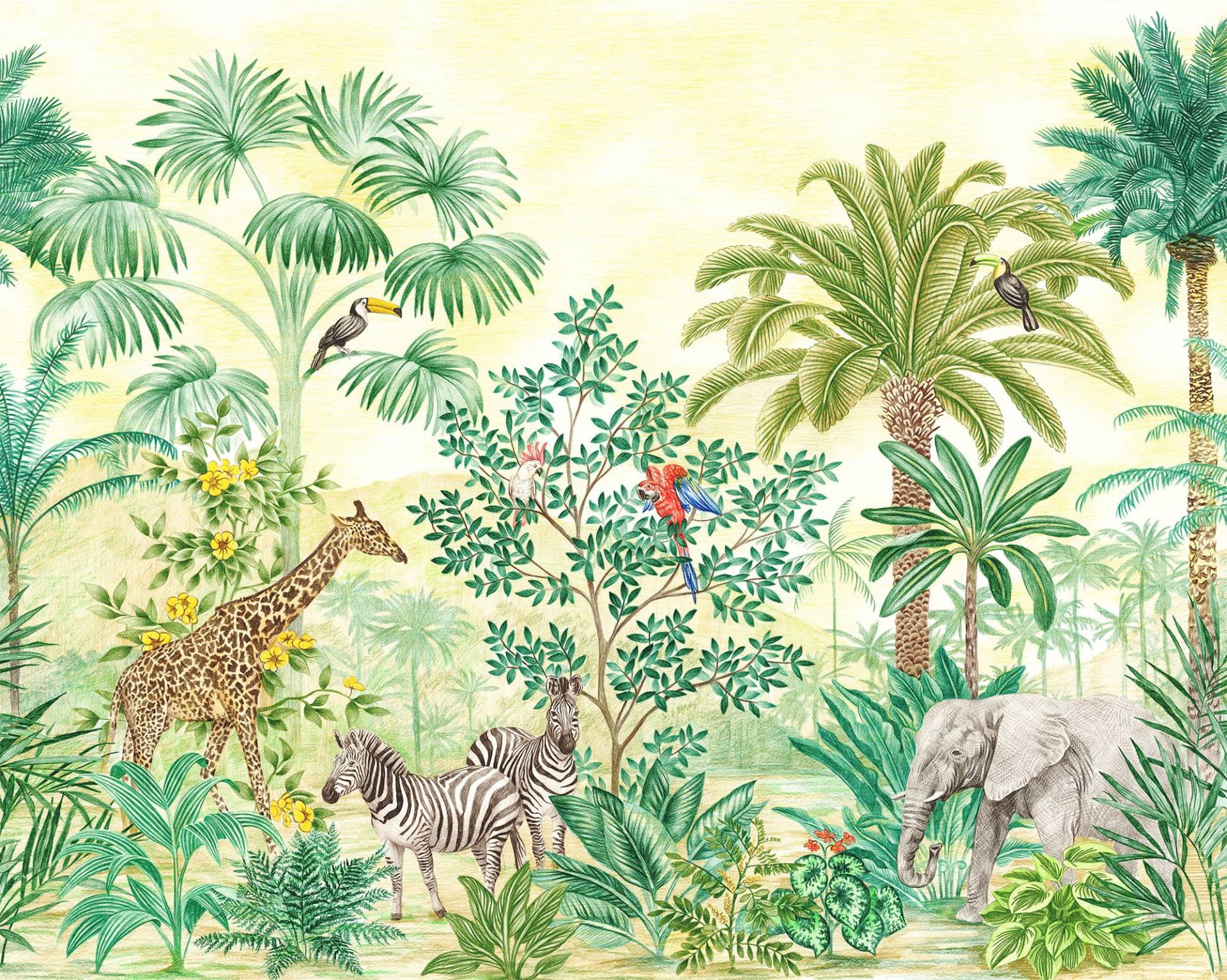 Komar Vliestapete "Jungle Adventure", 350x280 cm (Breite x Höhe) von Komar