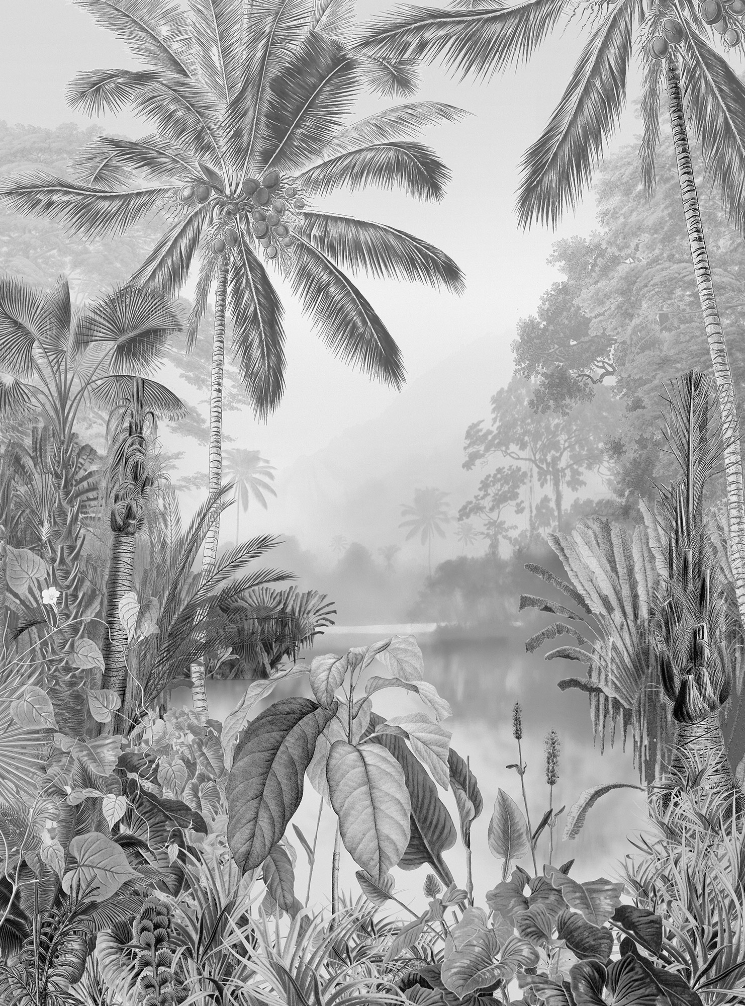 Komar Vliestapete "Lac Tropical Black & White" von Komar