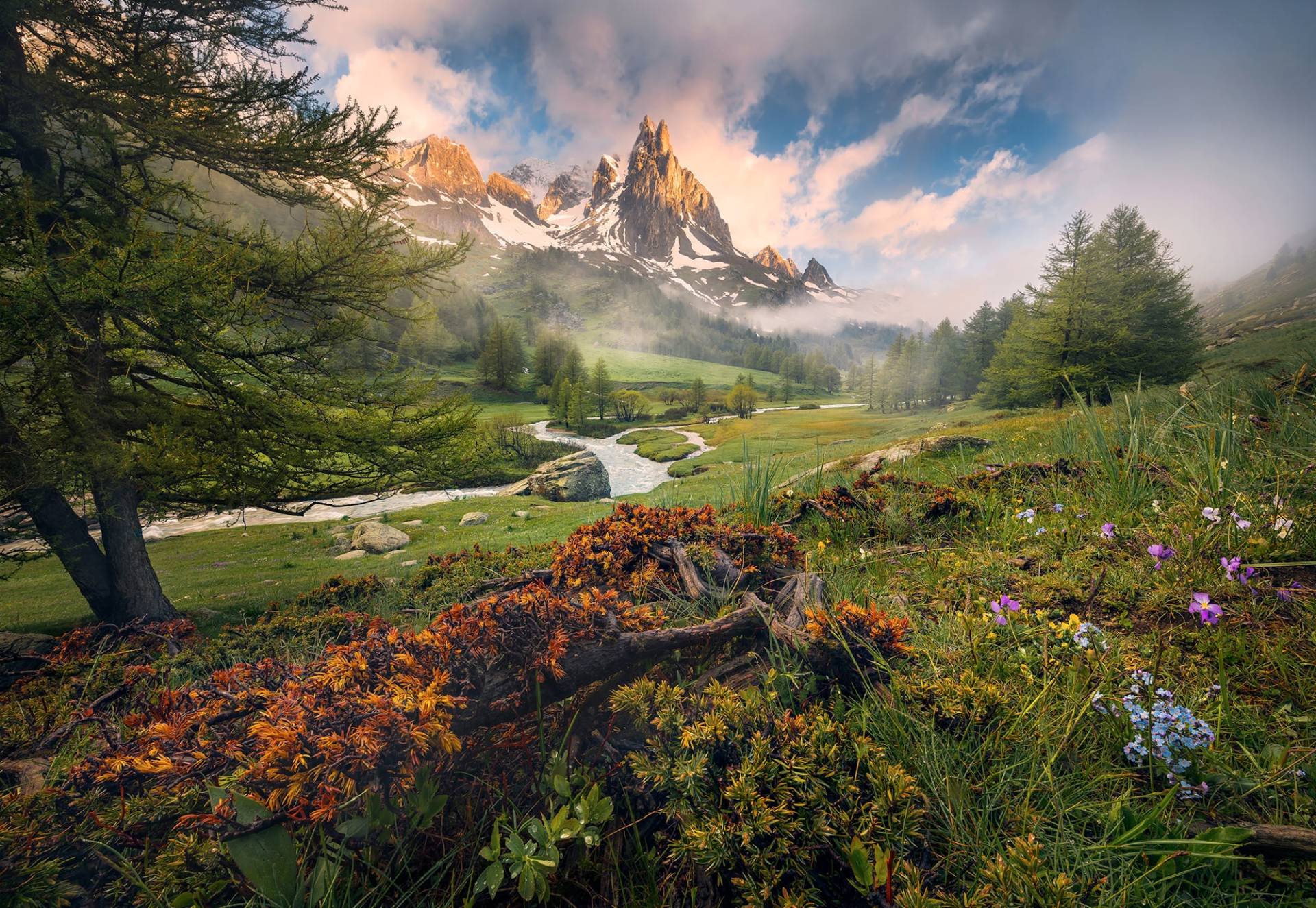 Komar Fototapete "Morning Walk" von Komar