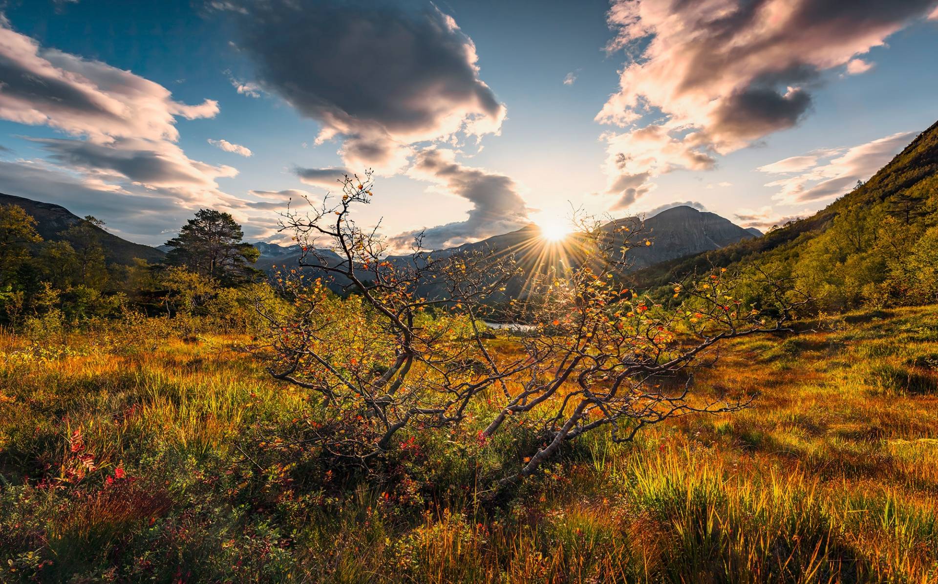 Komar Vliestapete "Norwegische Herbstwelten", 450x280 cm (Breite x Höhe), Wohnzimmer, Schlafzimmer von Komar