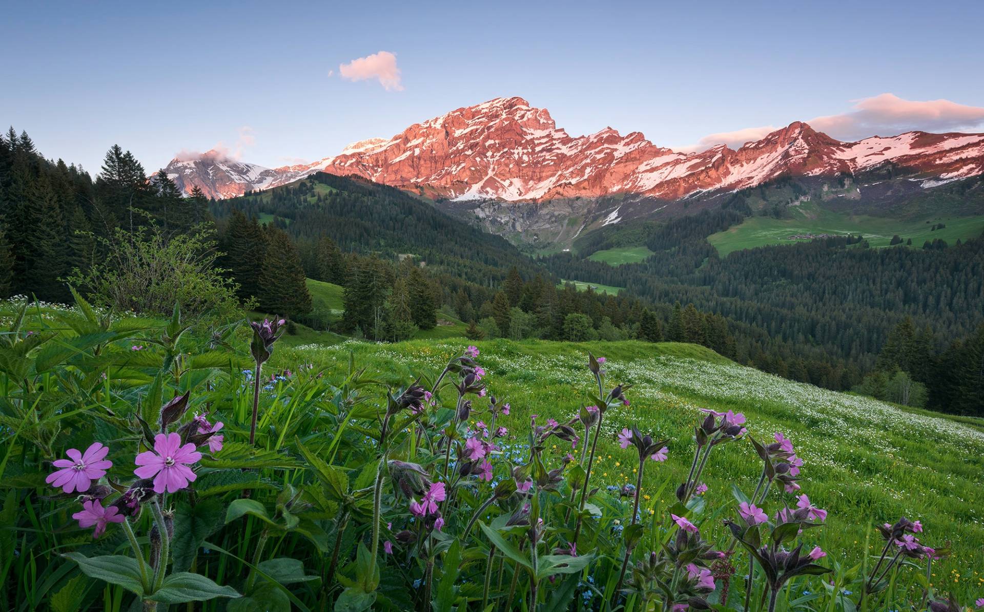 Komar Vliestapete "Picturesque Switzerland" von Komar