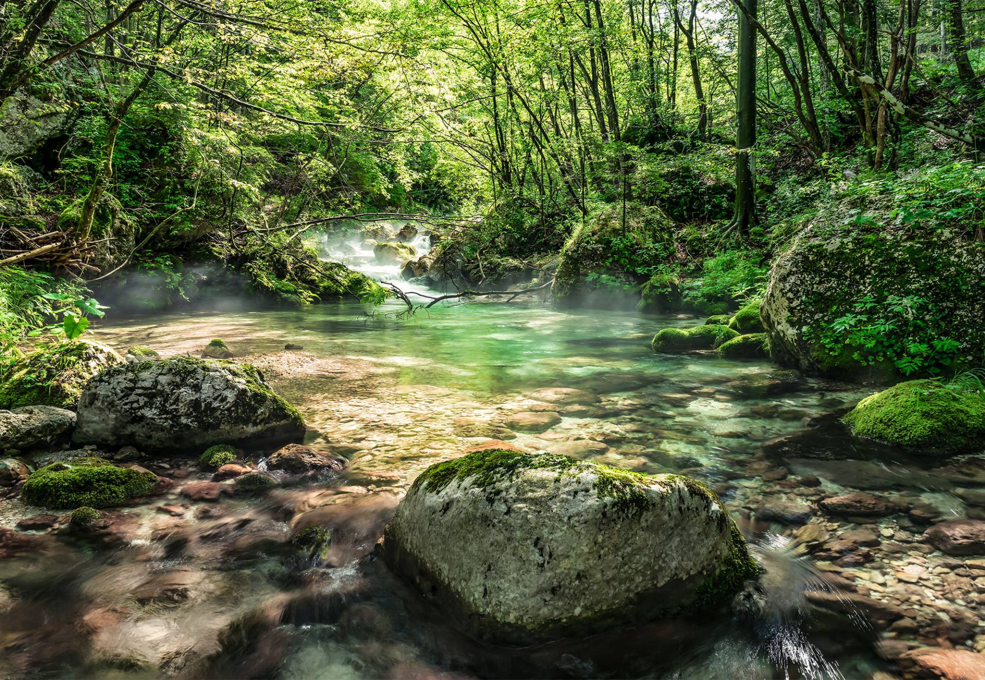 Komar Fototapete "Riverbed" von Komar