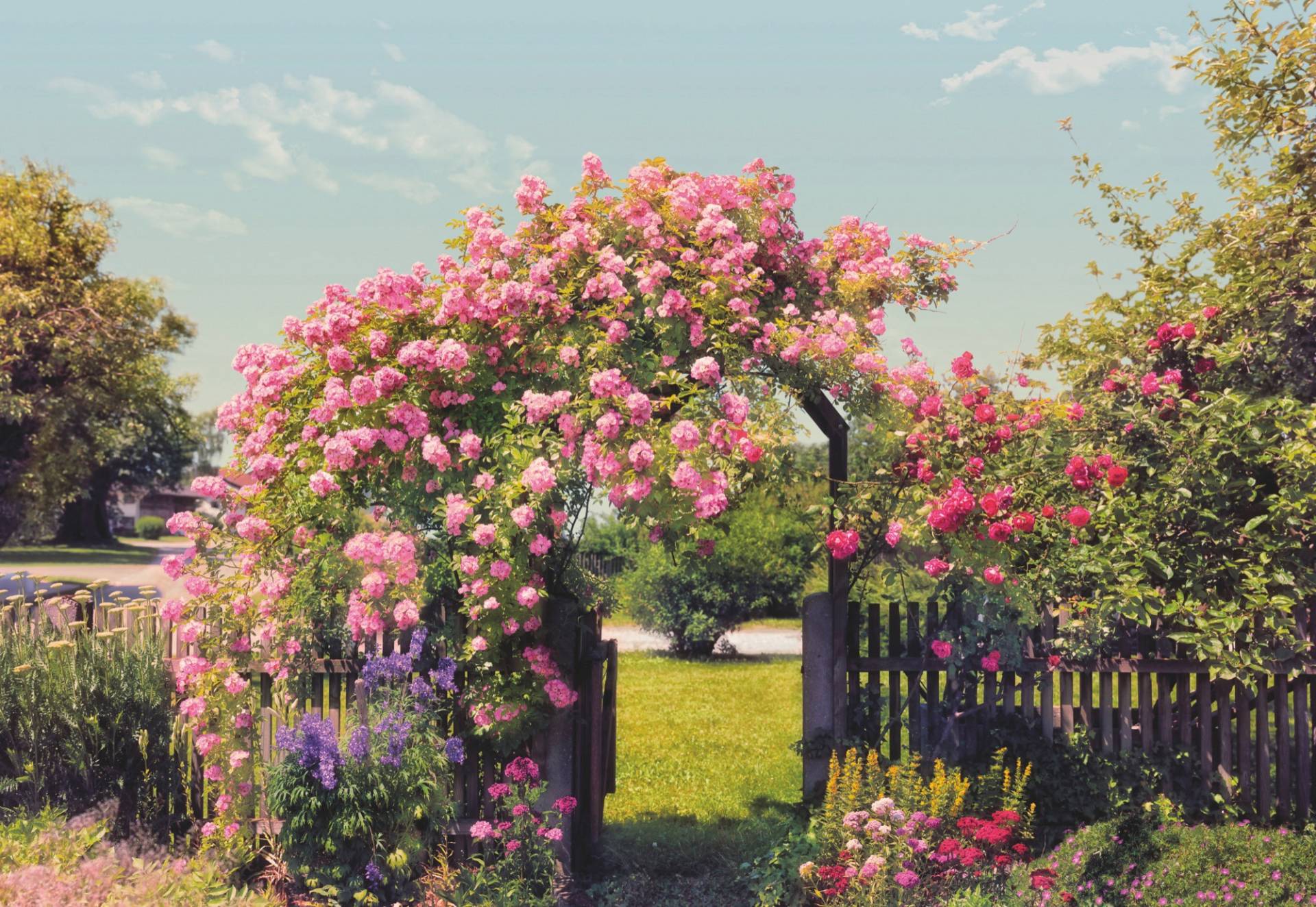 Komar Fototapete "Rose Garden" von Komar