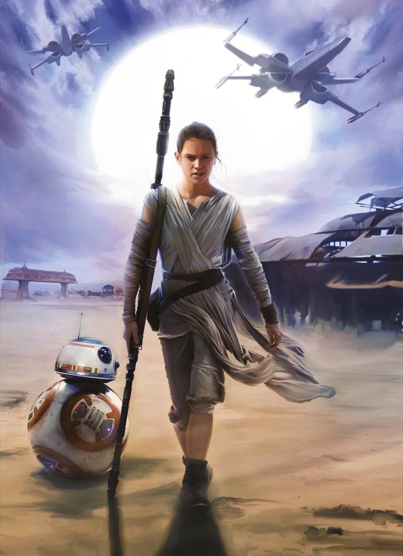 Komar Fototapete "STAR WARS Rey - Größe 184 x 254 cm" bedruckt glatt Kinderzimmer von Komar