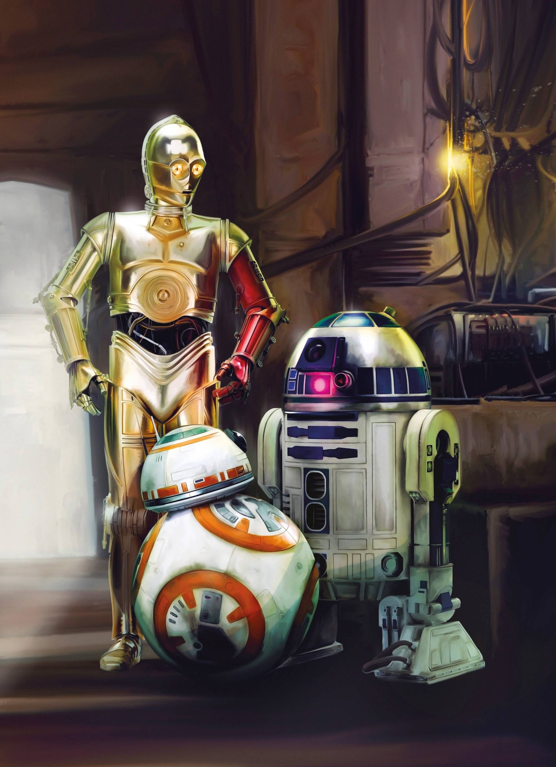 Komar Fototapete "STAR WARS Three Droids" von Komar