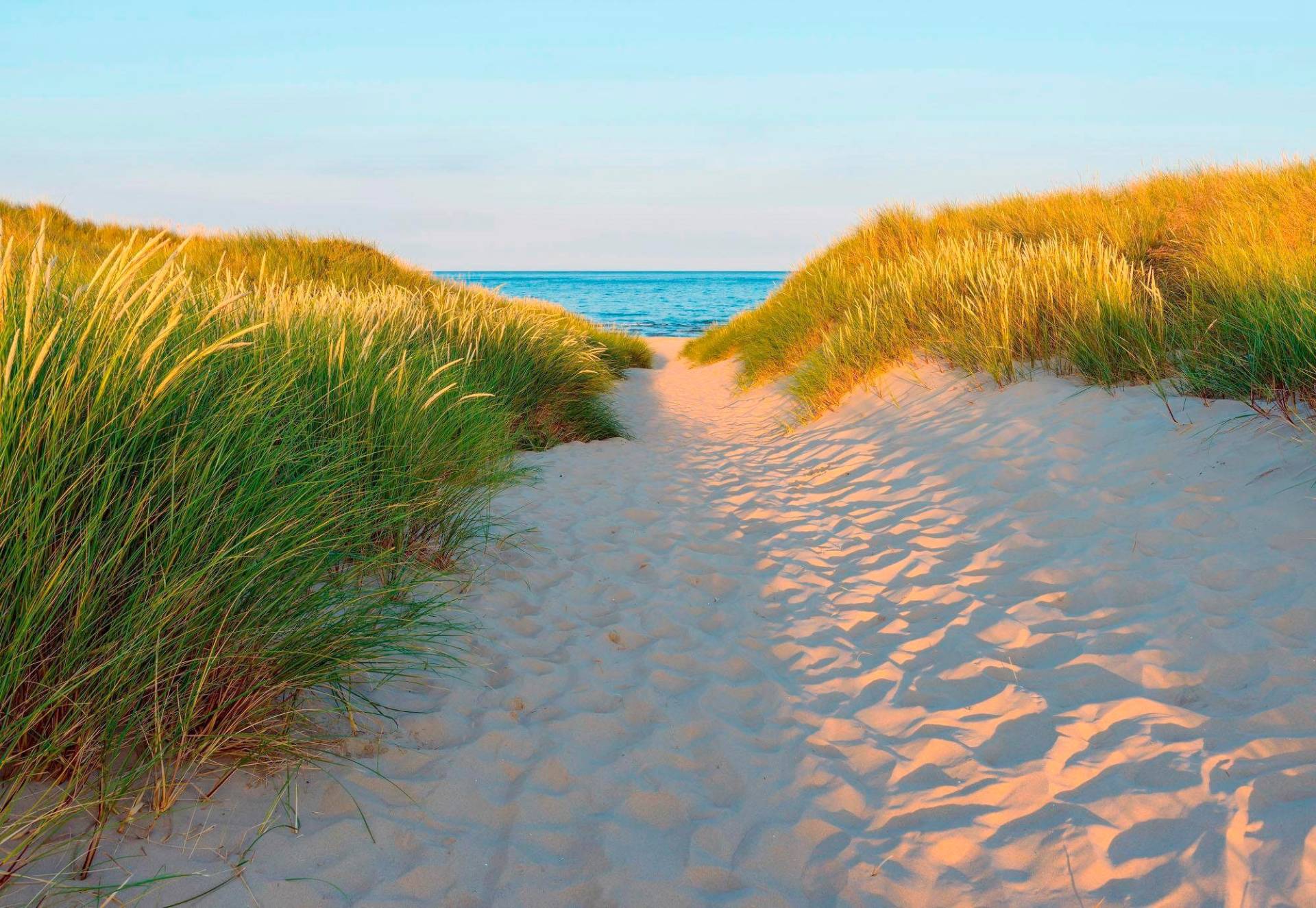 Komar Fototapete "Sandy Path" von Komar