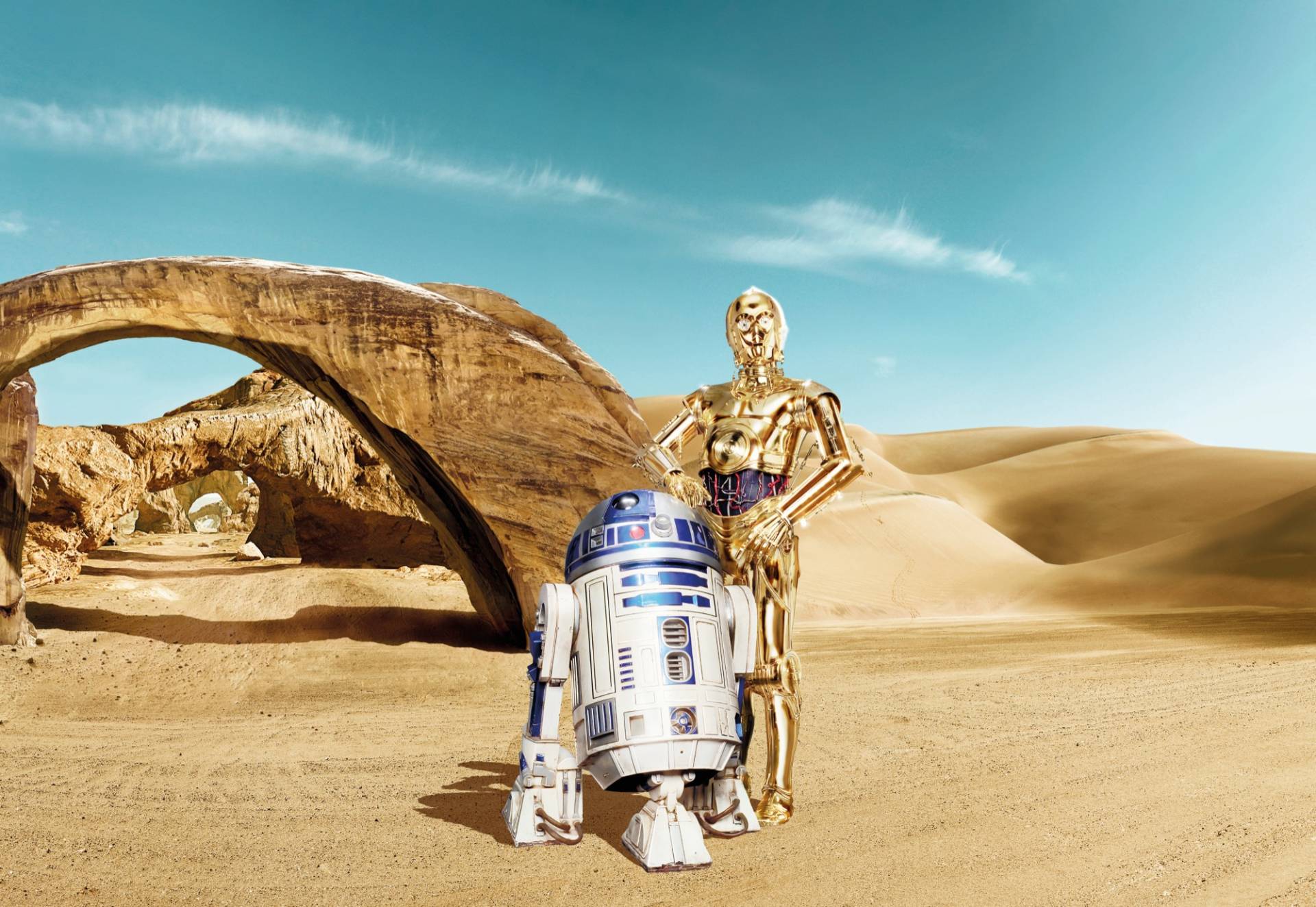 Komar Fototapete "Star Wars Lost Droids" von Komar