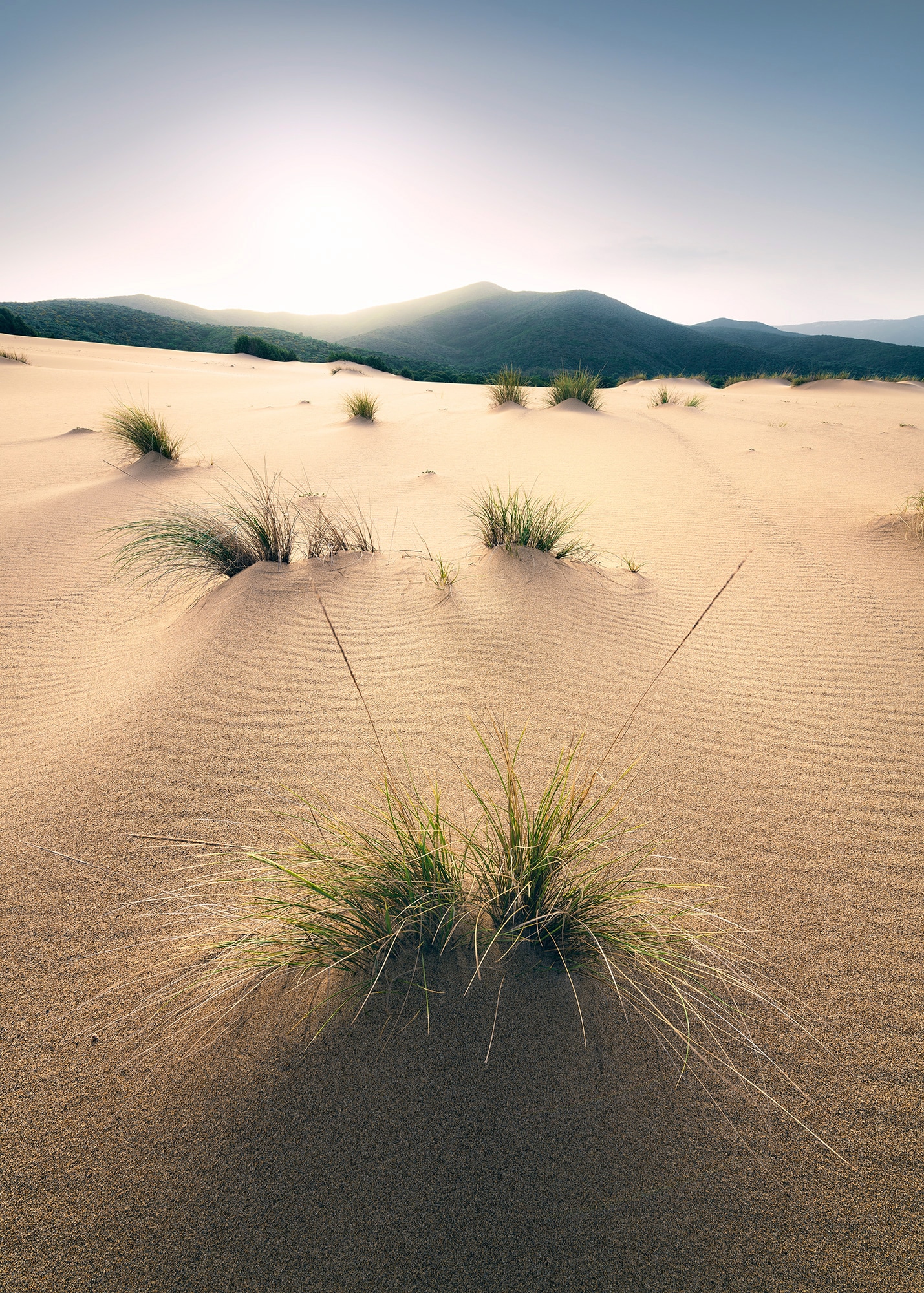 Komar Vliestapete "Vivid Dunes" von Komar