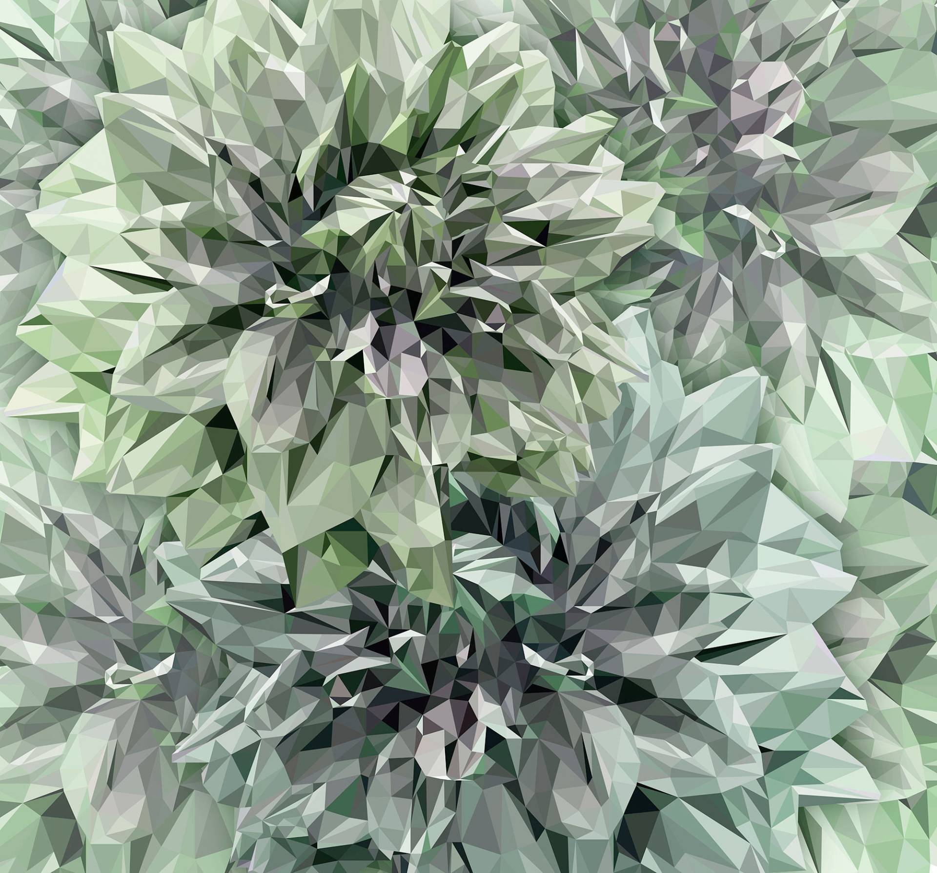 Komar Vliestapete "Emerald Flowers" von Komar