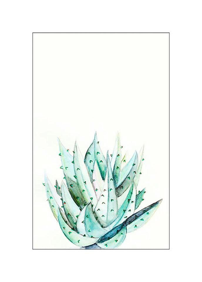 Komar Poster "Aloe Watercolor", Pflanzen-Blätter, (1 St.) von Komar