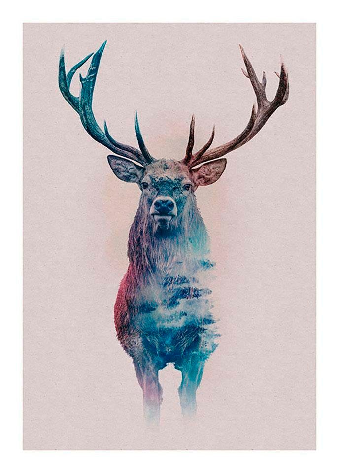 Komar Poster "Animals Forest Deer", Tiere, (1 St.) von Komar