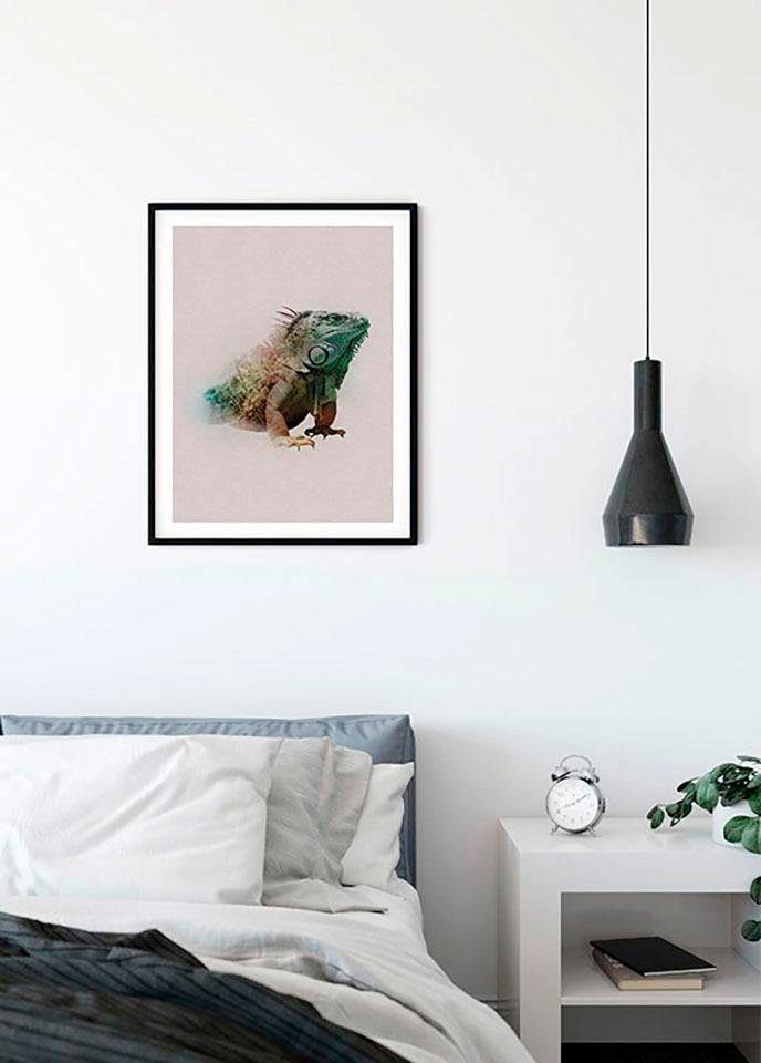 Komar Poster "Animals Paradise Iguana", Tiere, (1 St.) von Komar