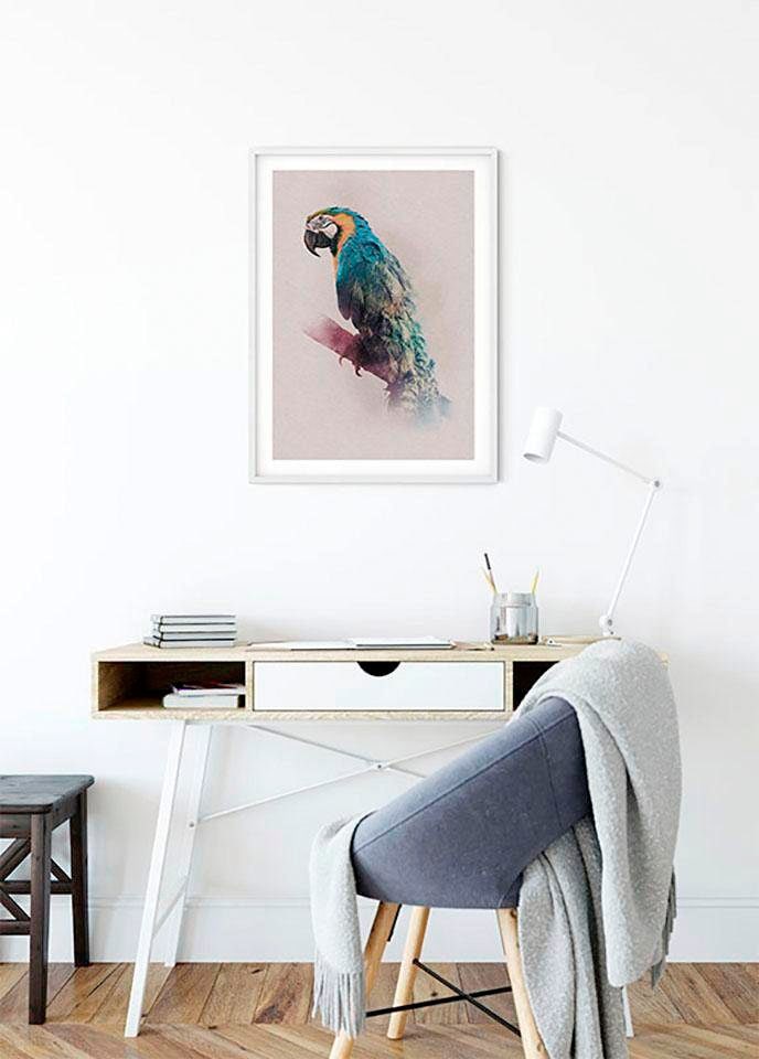 Komar Poster "Animals Paradise Parrot", Tiere, (1 St.) von Komar