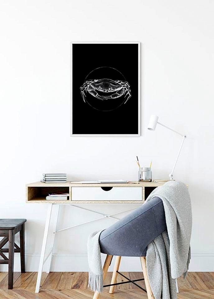 Komar Poster "Crab Black", Tiere, (1 St.) von Komar