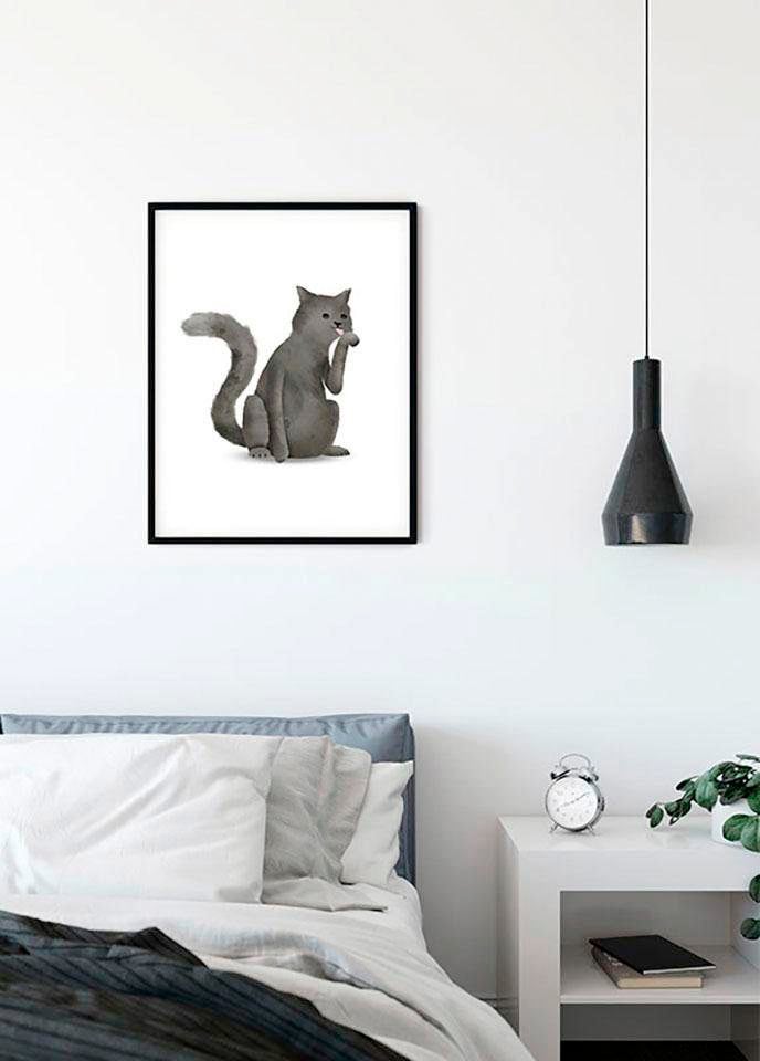 Komar Poster "Cute Animal Cat", Tiere, (1 St.) von Komar