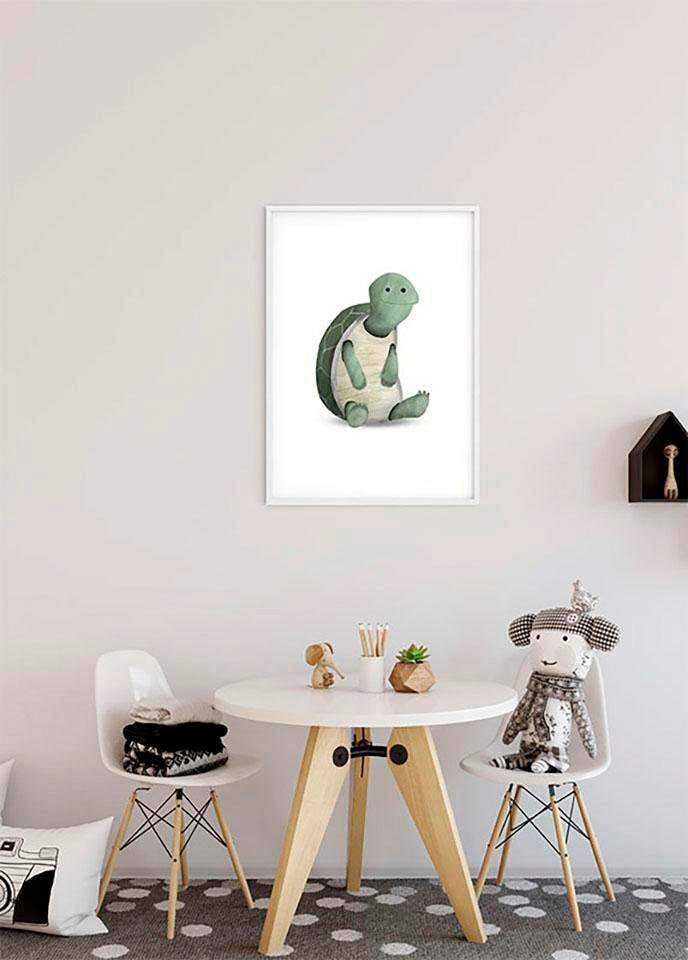 Komar Poster "Cute Animal Turtle", Schildkröten, (1 St.) von Komar