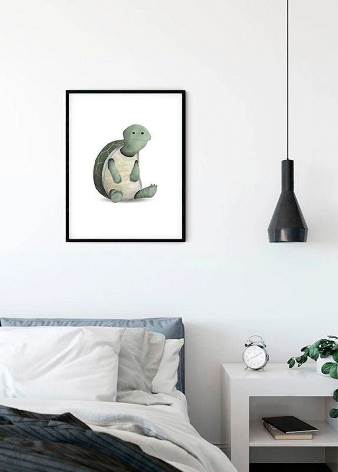 Komar Poster "Cute Animal Turtle", Schildkröten, (1 St.) von Komar