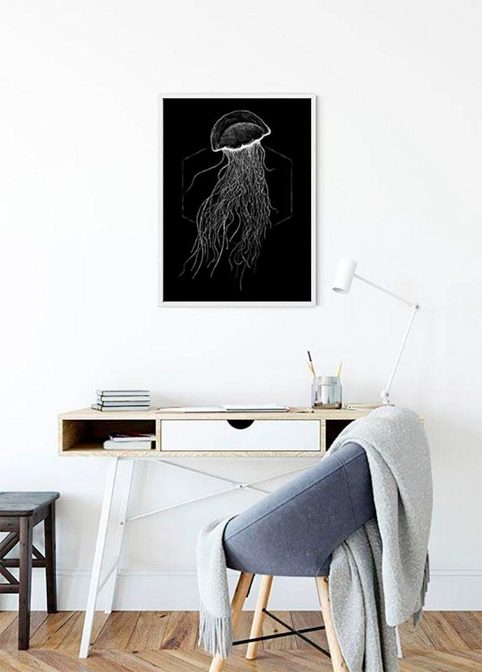 Komar Poster "Jellyfish Black", Tiere, (1 St.) von Komar
