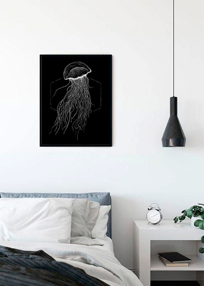 Komar Poster "Jellyfish Black", Tiere, (1 St.) von Komar