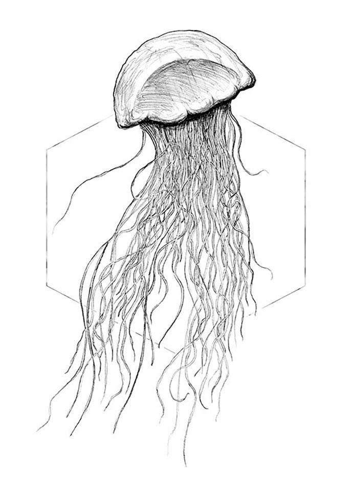 Komar Poster "Jellyfish White", Tiere, (1 St.) von Komar