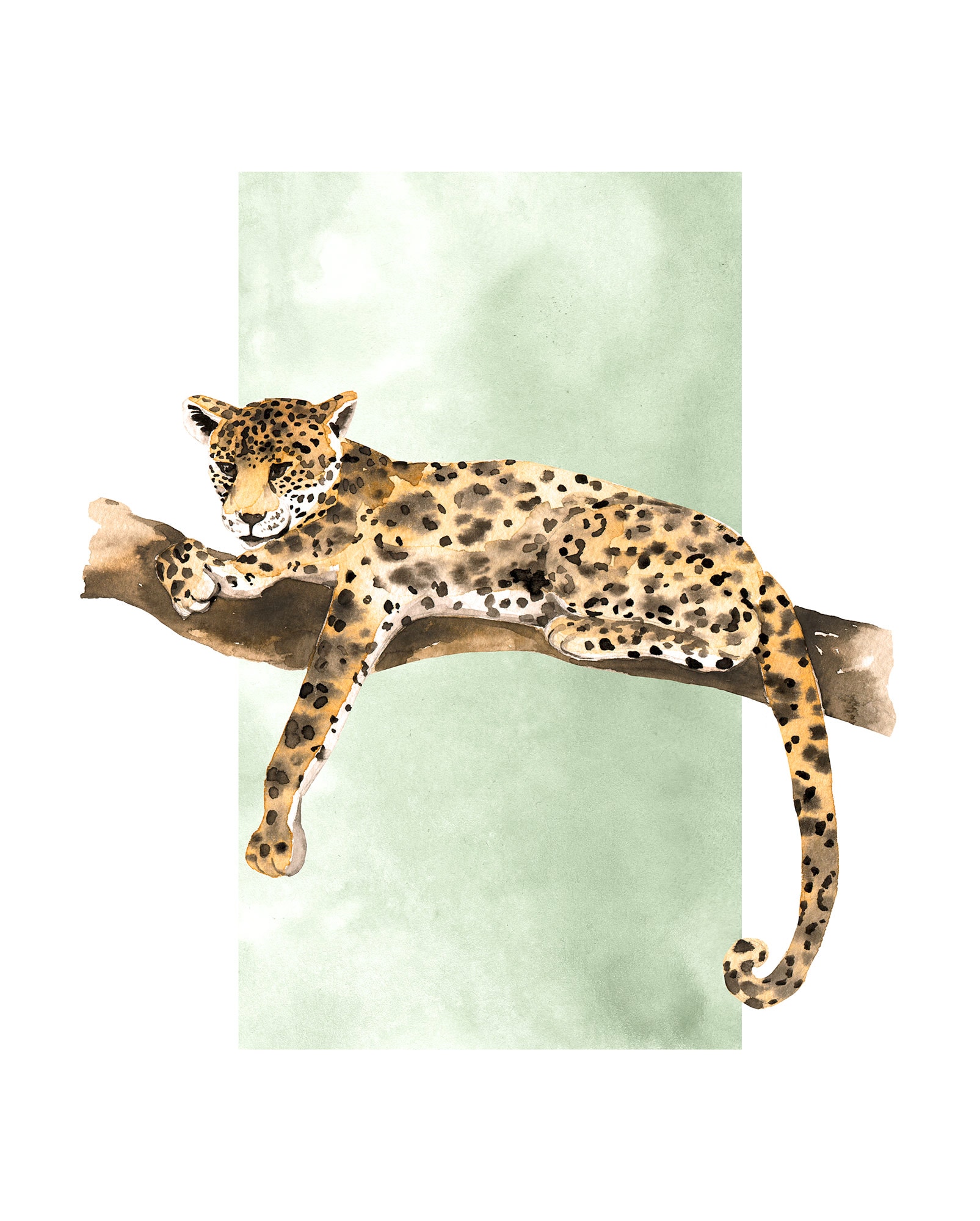 Komar Poster "Lazy Leopard", (1 St.) von Komar