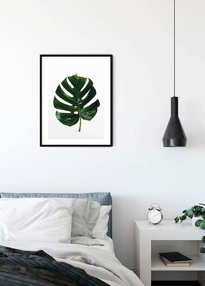 Komar Poster "Monstera Leaf", Pflanzen-Blätter, (1 St.) von Komar