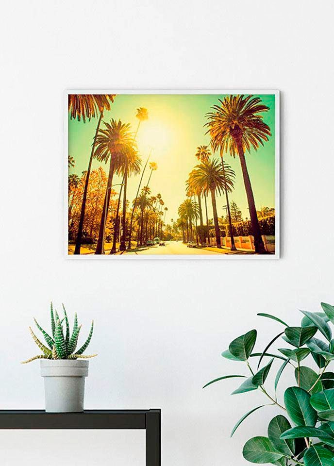 Komar Poster "Palm Alley", Städte, (1 St.) von Komar