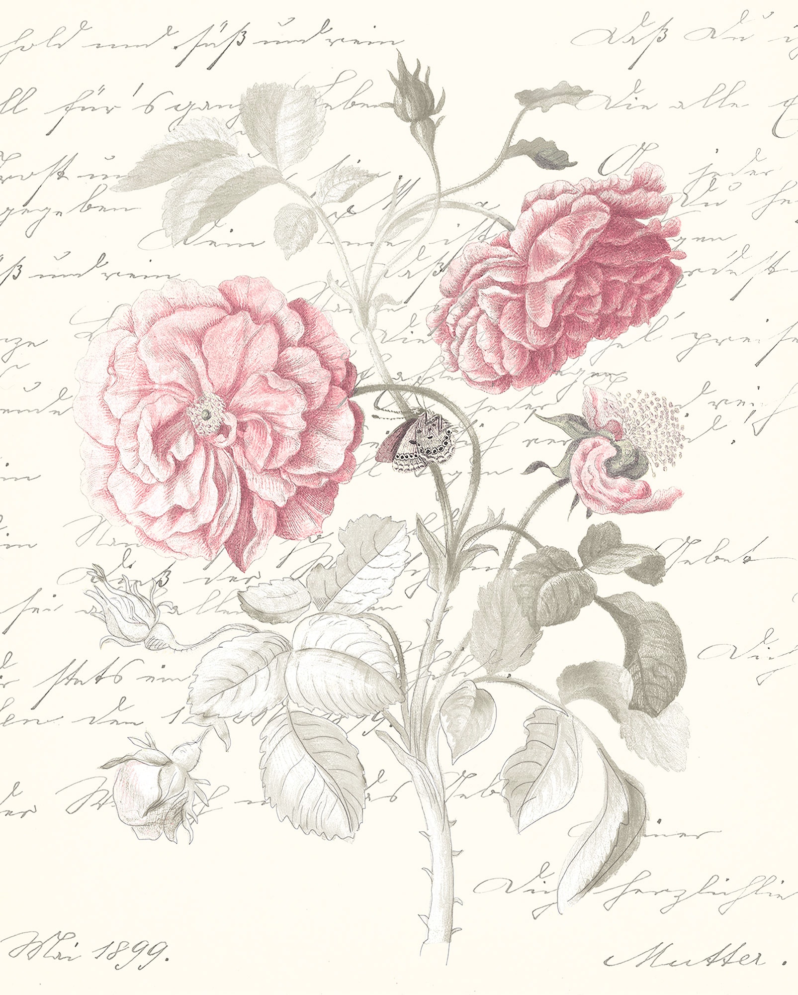 Komar Poster "Poème Rose", (1 St.) von Komar