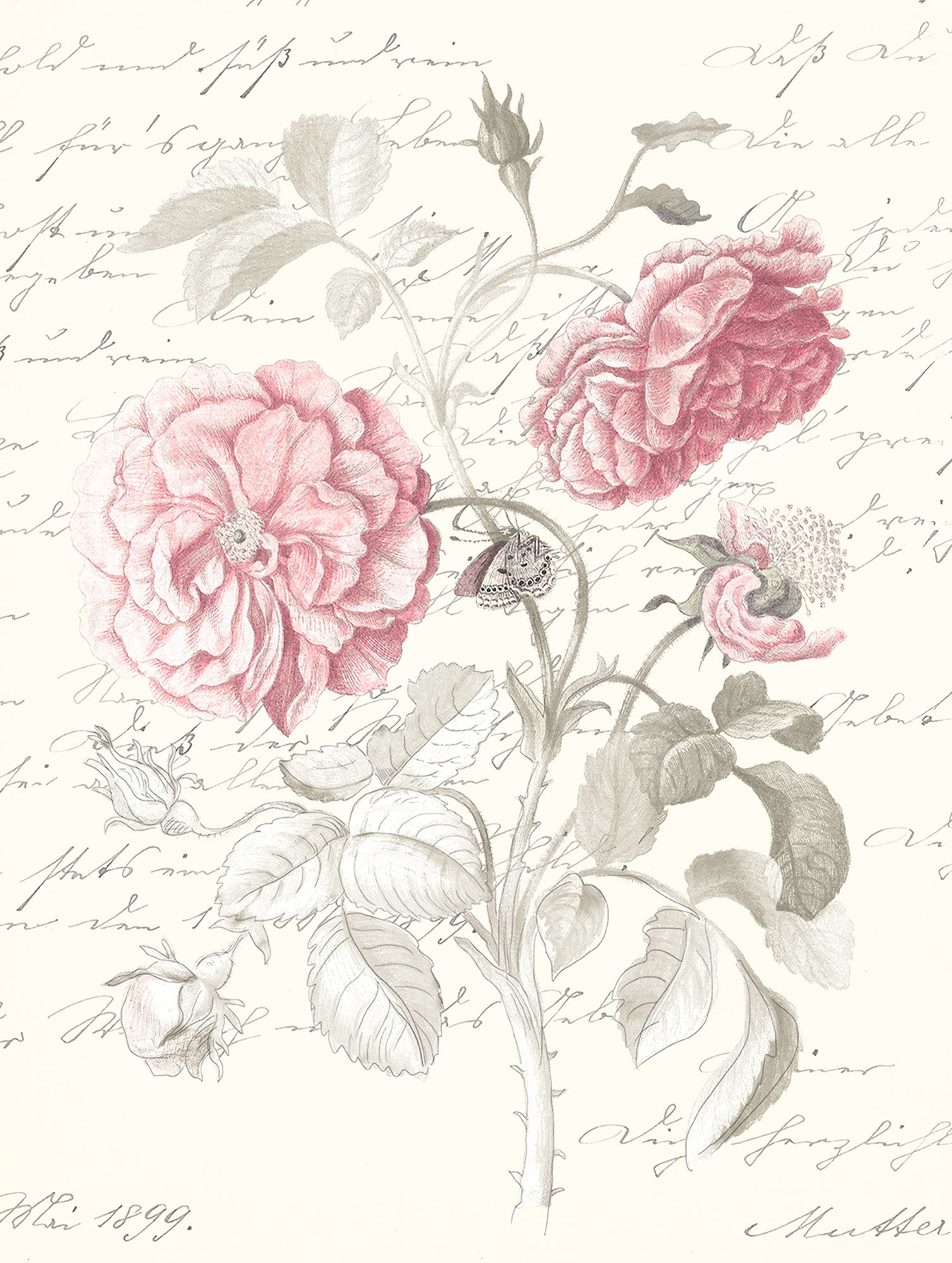 Komar Poster "Poème Rose", (1 St.) von Komar