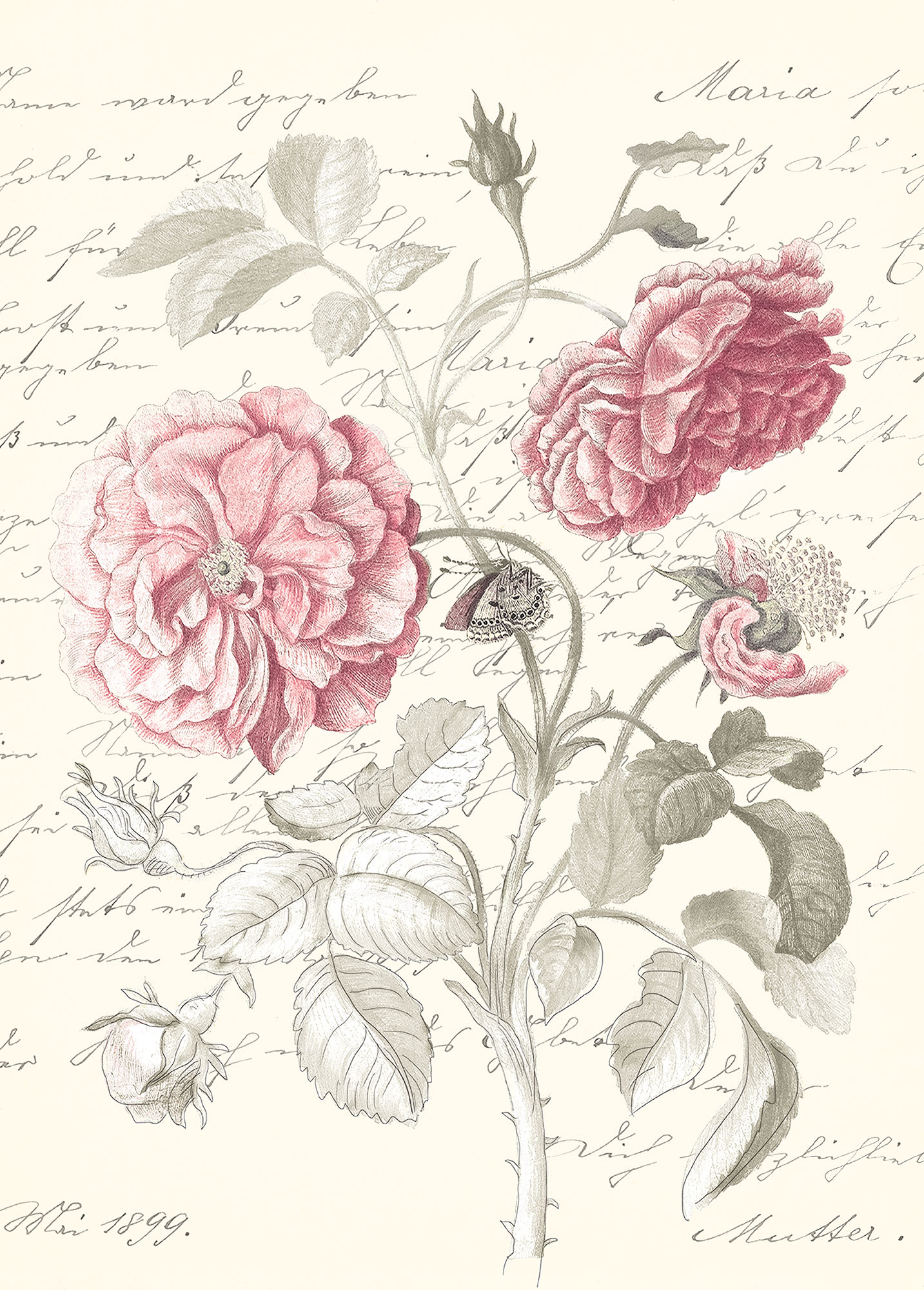 Komar Poster "Poème Rose", (1 St.) von Komar