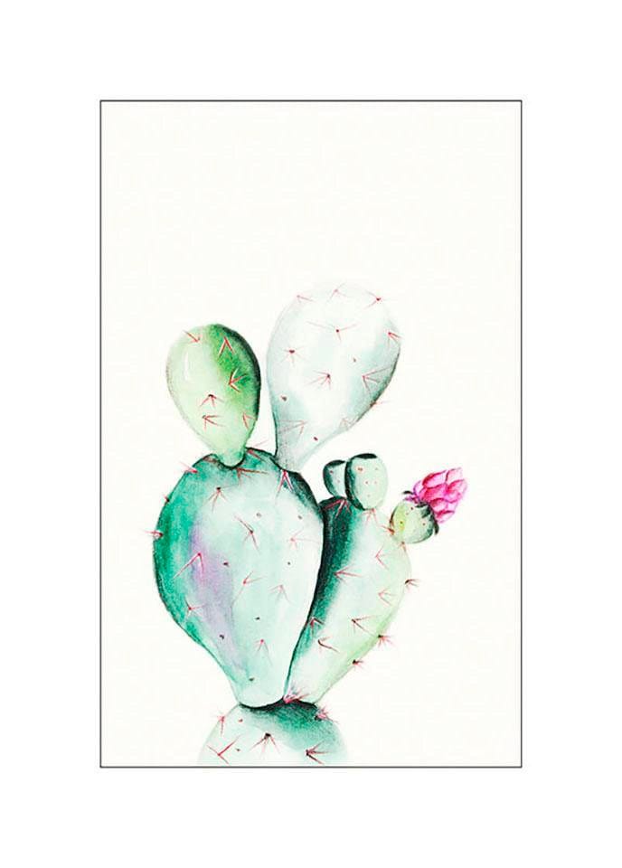 Komar Poster "Prickly Pear Watercolor", Pflanzen-Blätter, (1 St.) von Komar