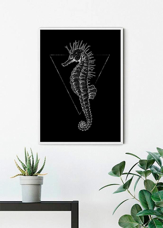 Komar Poster "Sea Horse Black", Tiere, (1 St.) von Komar